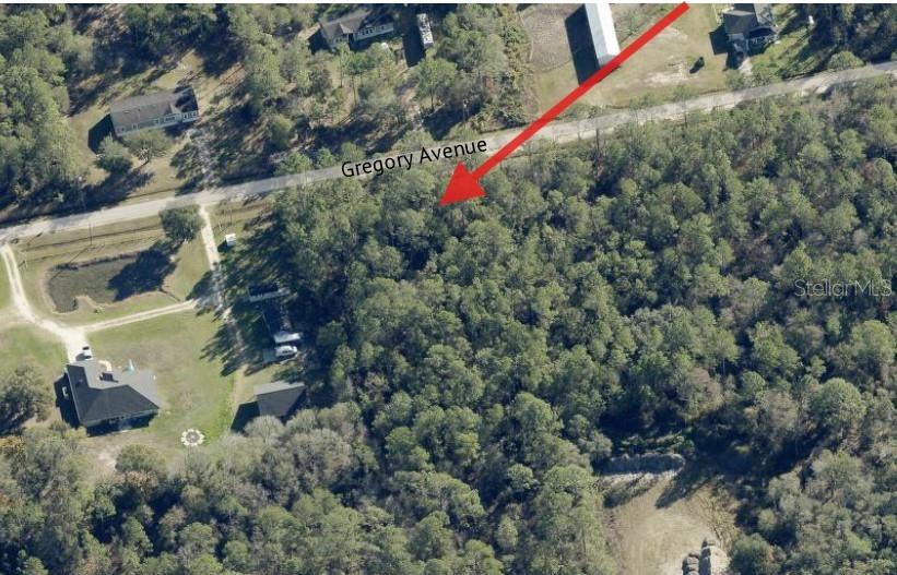 10315 GREGORY AVE, HASTINGS, FL, 32145