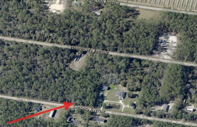 10315 GREGORY AVE, HASTINGS, FL, 32145