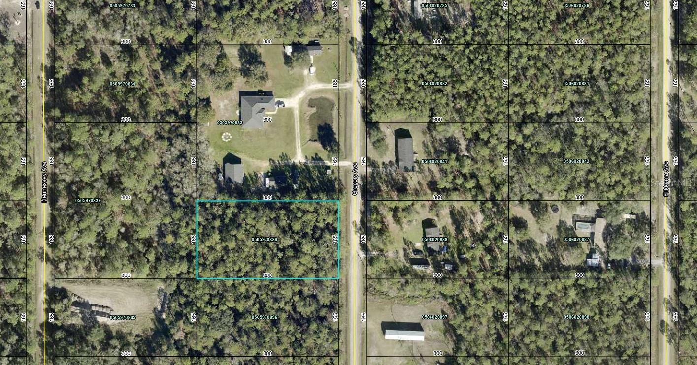 10315 GREGORY AVE, HASTINGS, FL, 32145
