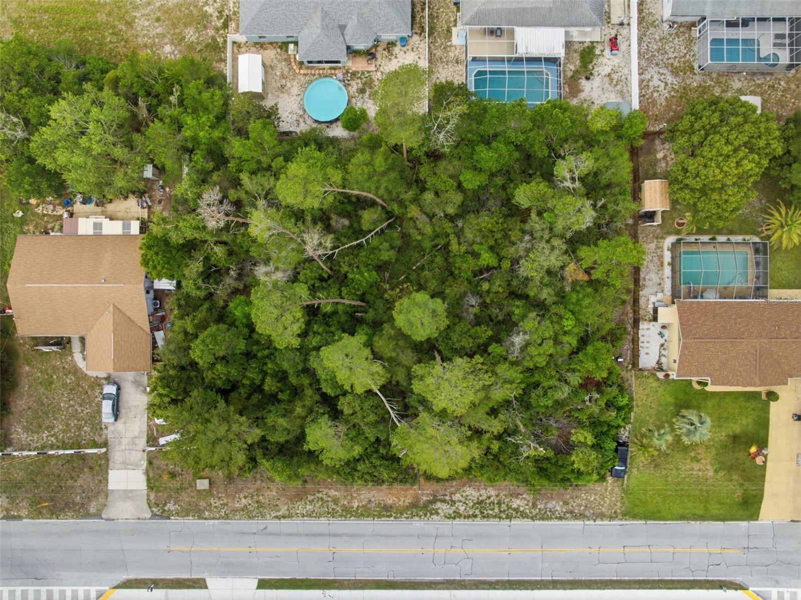 6011 FREEPORT DR, SPRING HILL, FL, 34606