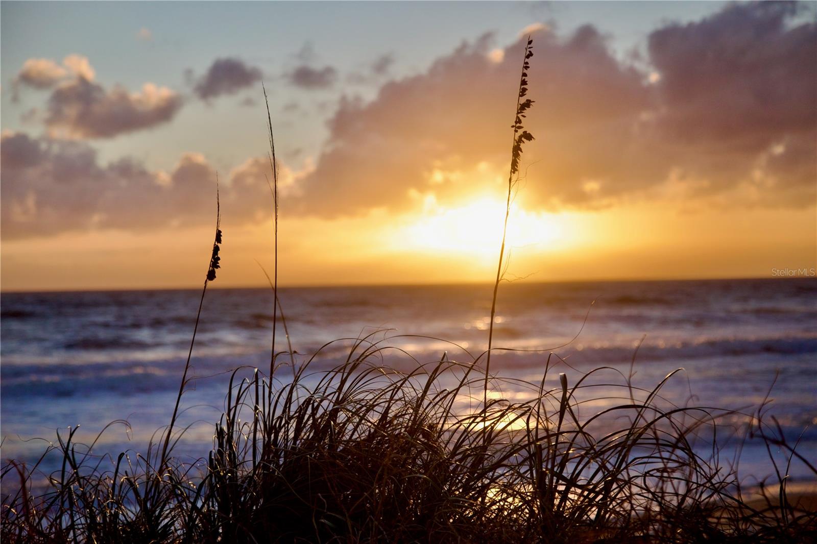 73 CALLE DEL SUR #Lot 50, PALM COAST, FL, 32137