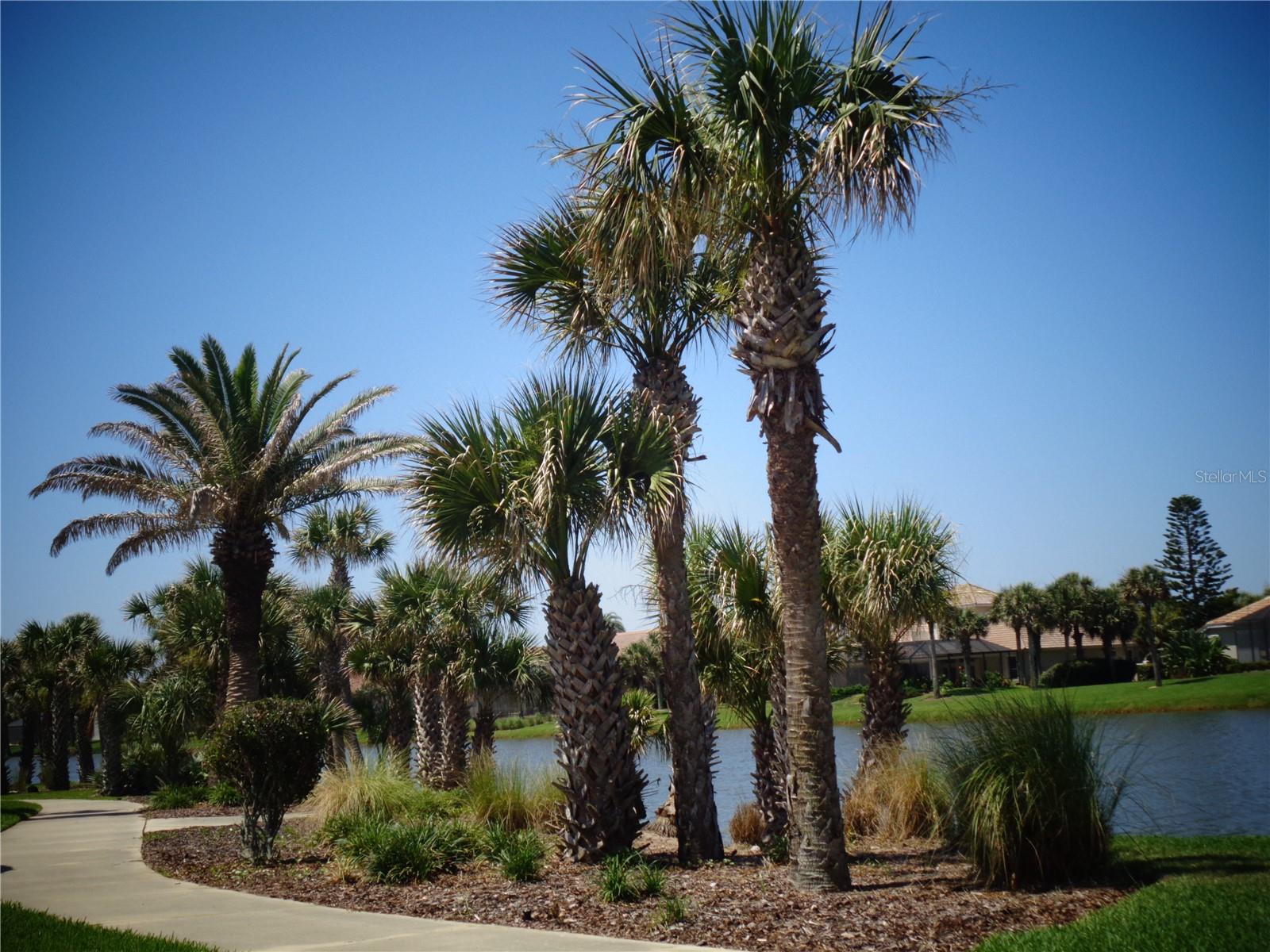 73 CALLE DEL SUR #Lot 50, PALM COAST, FL, 32137