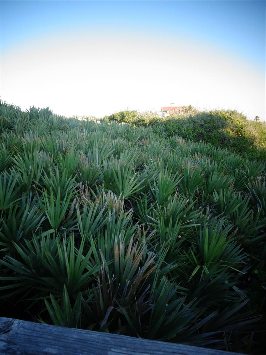 73 CALLE DEL SUR #Lot 50, PALM COAST, FL, 32137