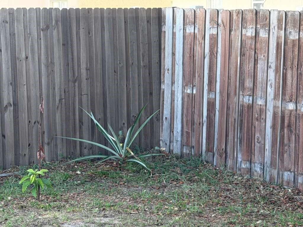 1702 MINNOW CT, KISSIMMEE, FL, 34759
