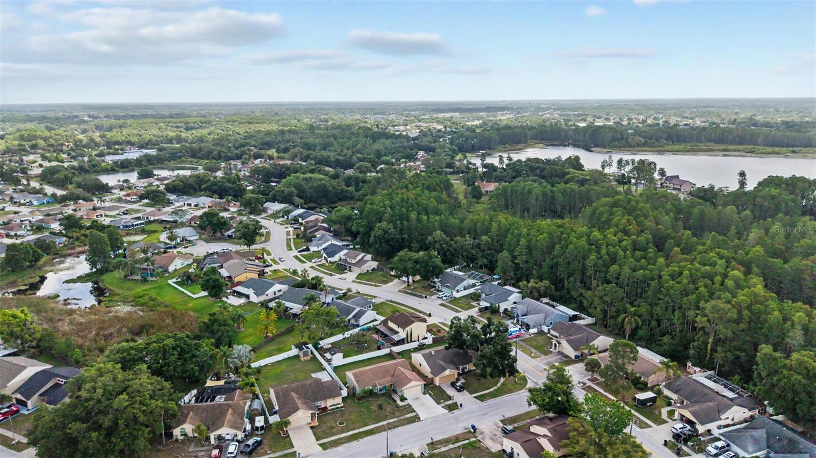 1632 PINTAIL CT, LUTZ, FL, 33549