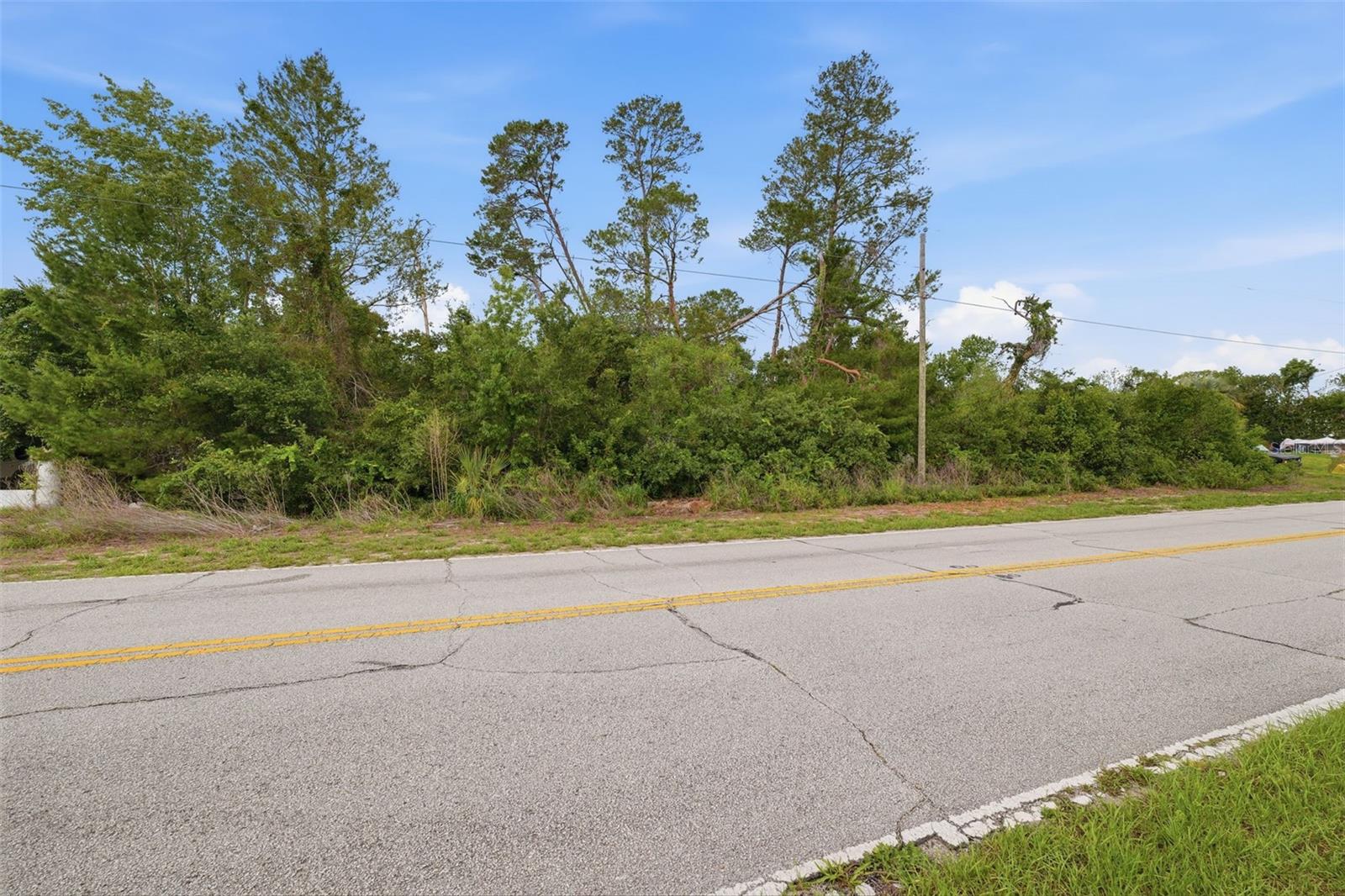 6019 FREEPORT DR, SPRING HILL, FL, 34606
