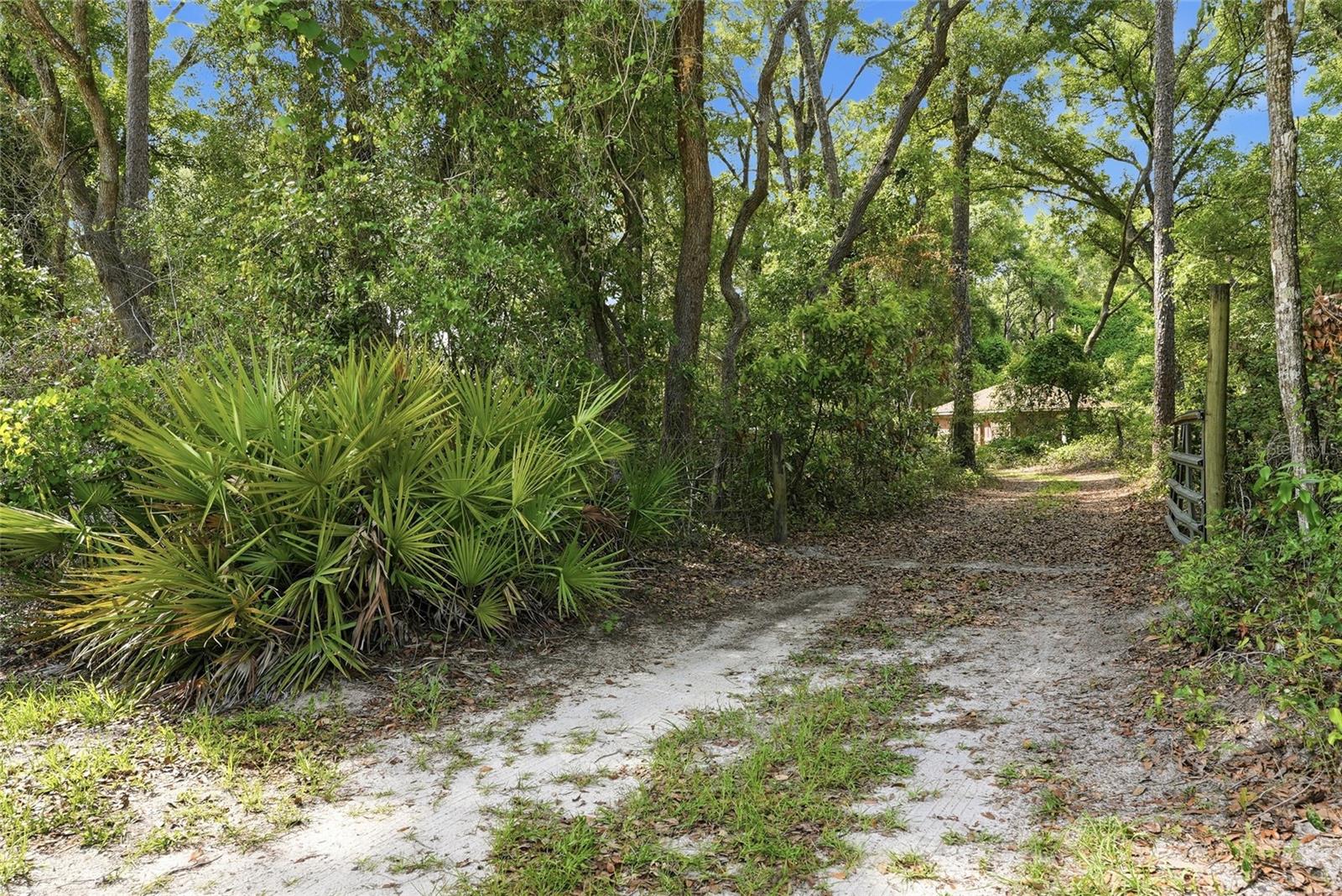 9291 NW 127TH PL, CHIEFLAND, FL, 32626