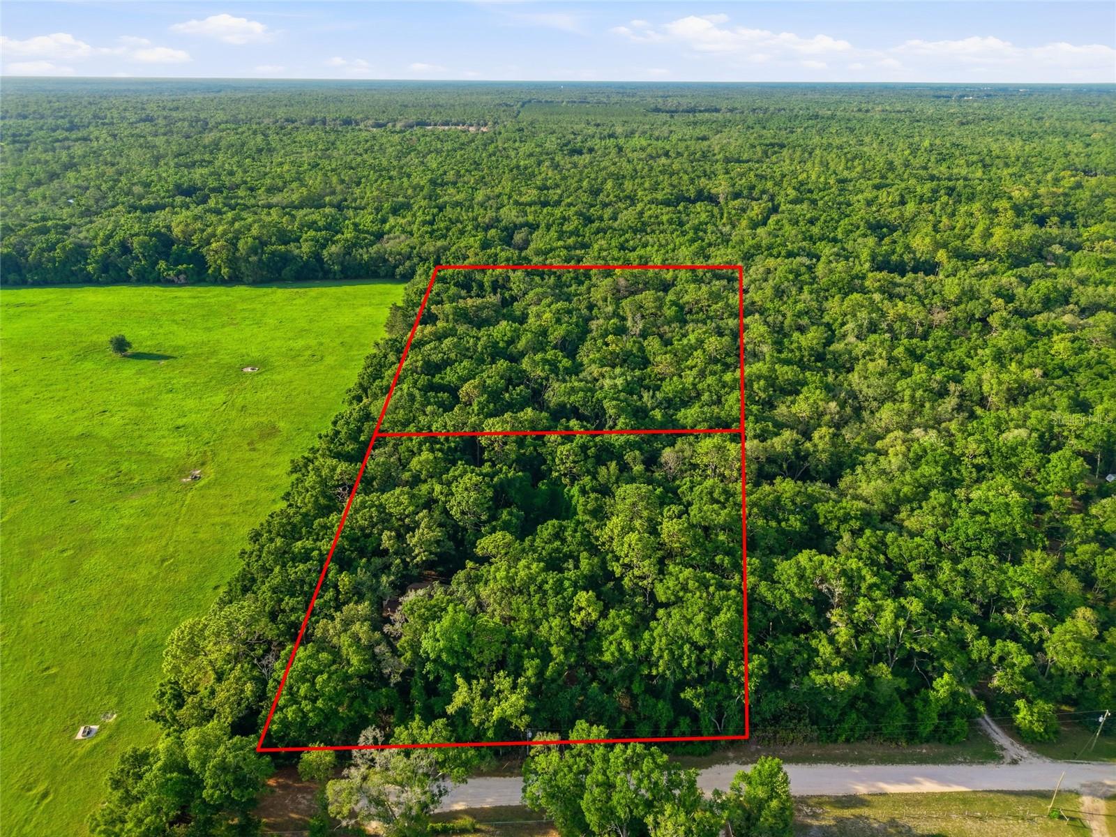 9291 NW 127TH PL, CHIEFLAND, FL, 32626