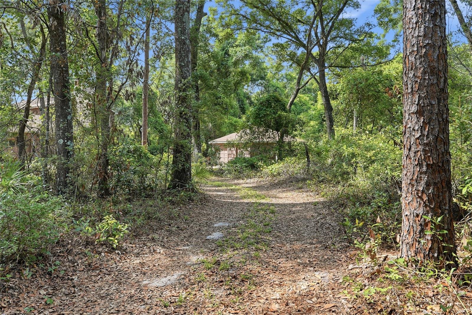 9291 NW 127TH PL, CHIEFLAND, FL, 32626