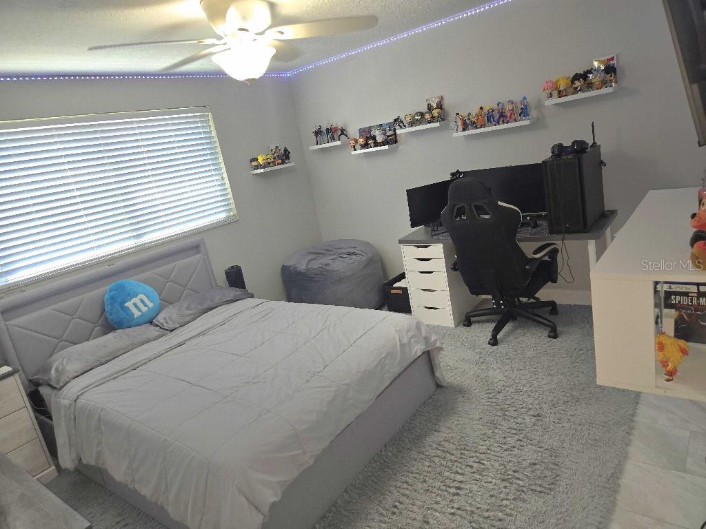 7002 DANEWOOD CT, TAMPA, FL, 33615