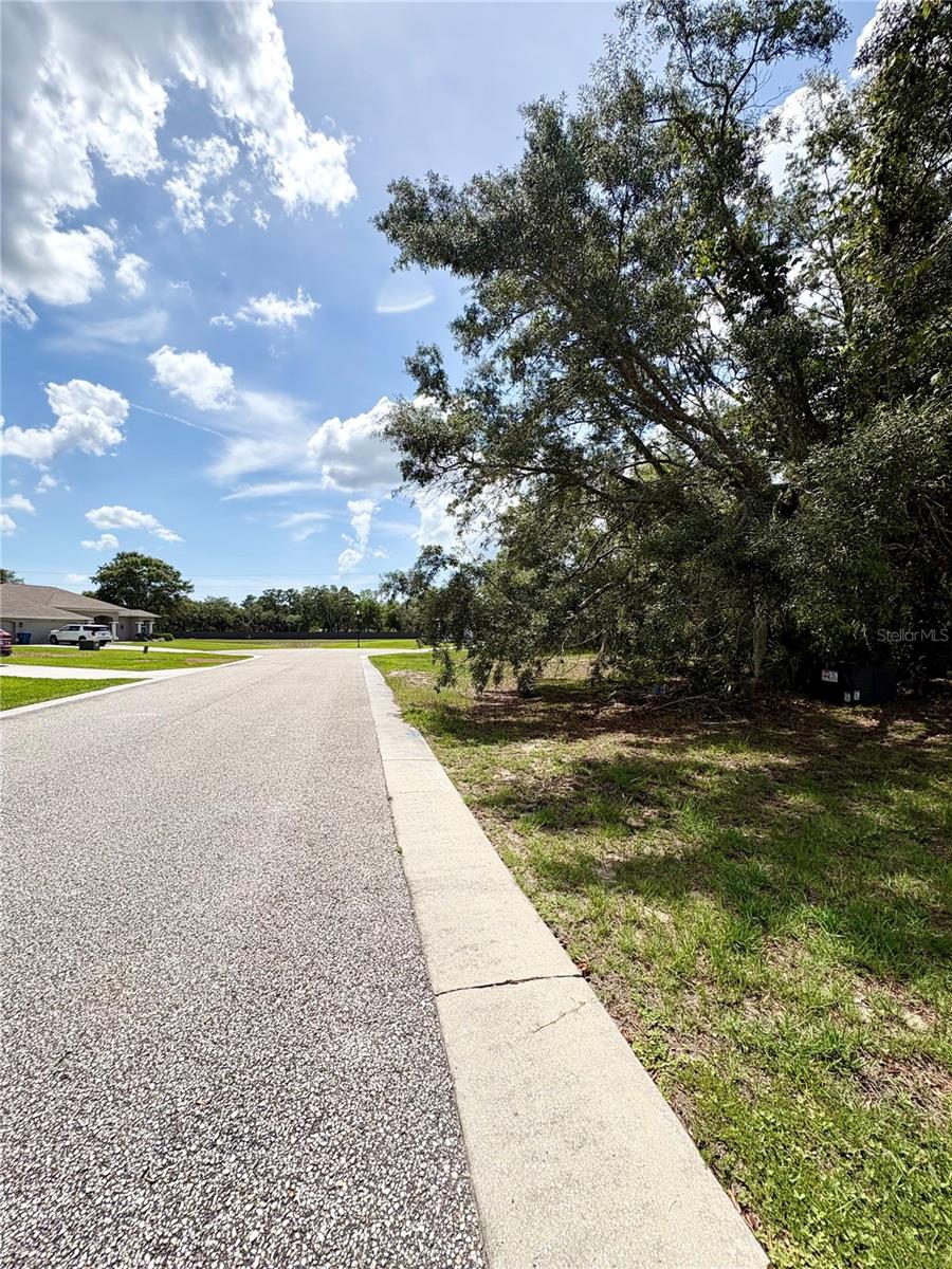 9925 REINDEER CT, SPRING HILL, FL, 34608