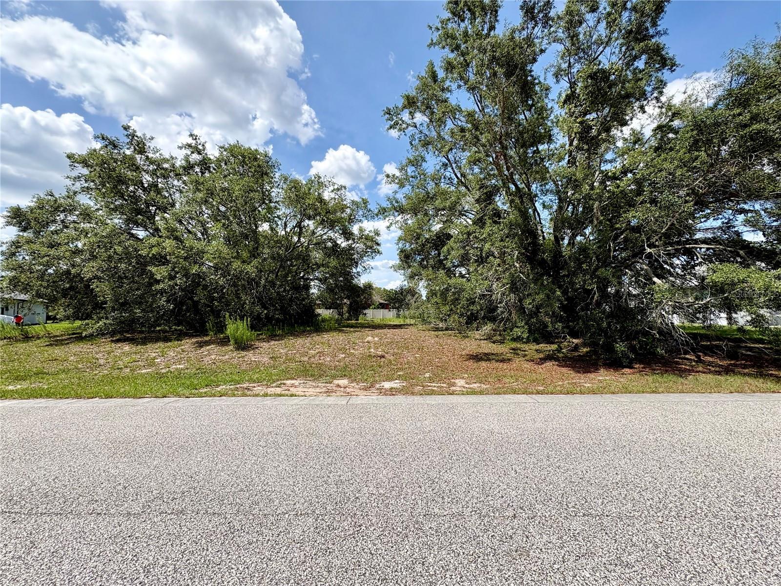 9925 REINDEER CT, SPRING HILL, FL, 34608