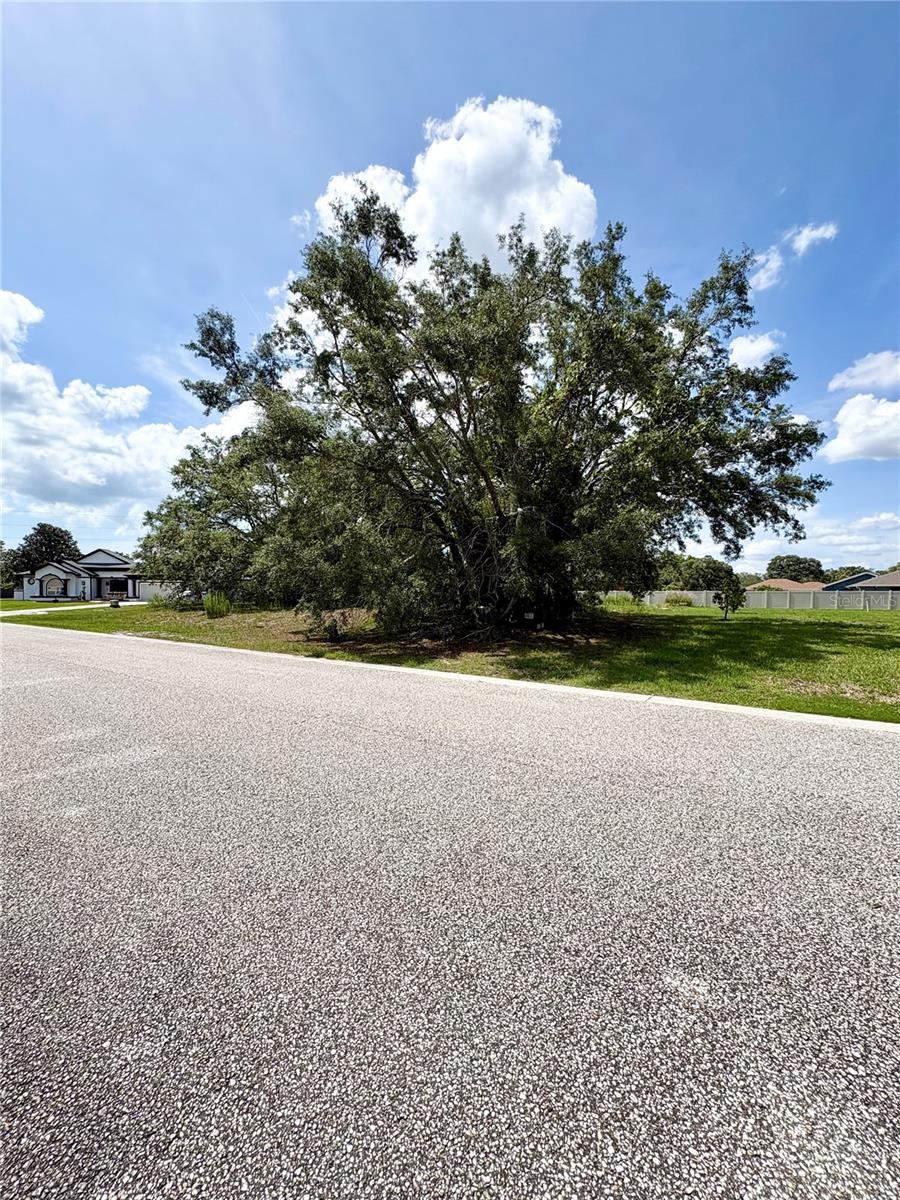 9925 REINDEER CT, SPRING HILL, FL, 34608