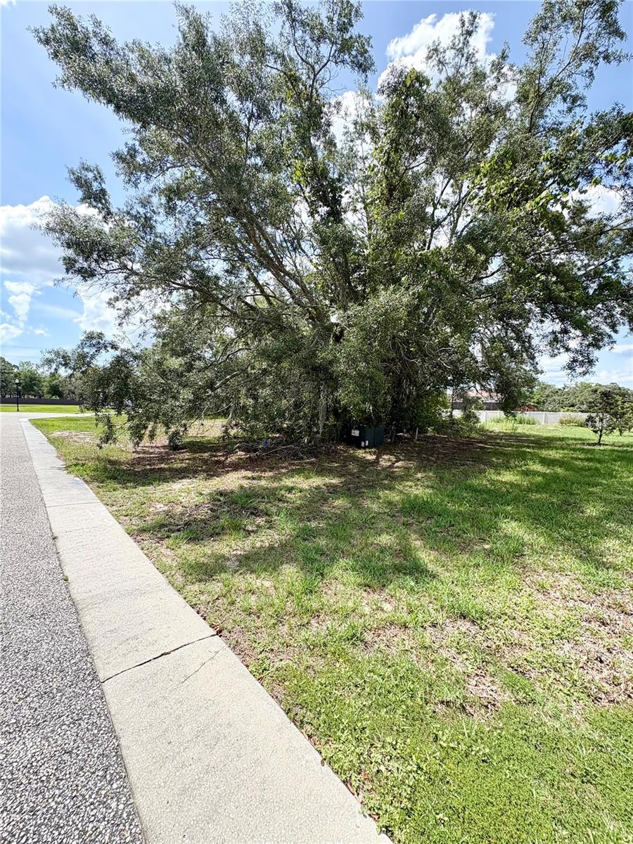 9925 REINDEER CT, SPRING HILL, FL, 34608