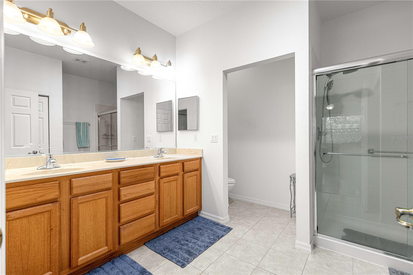 9317 SW 94TH LOOP, OCALA, FL, 34481