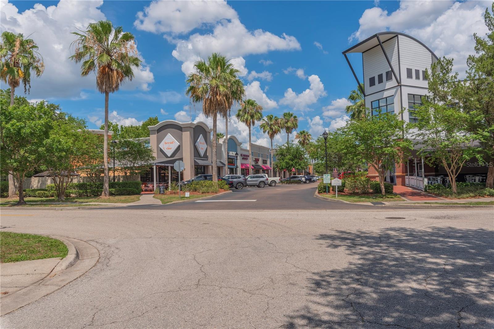 10109 HAYFIELD WAY, TAMPA, FL, 33626
