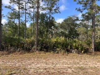 1013 (BLK 299 LOT 18) ALBA DR, INDIAN LAKE ESTATES, FL, 33855