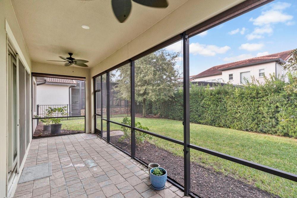 15607 SYLVESTER PALM DR, WINTER GARDEN, FL, 34787