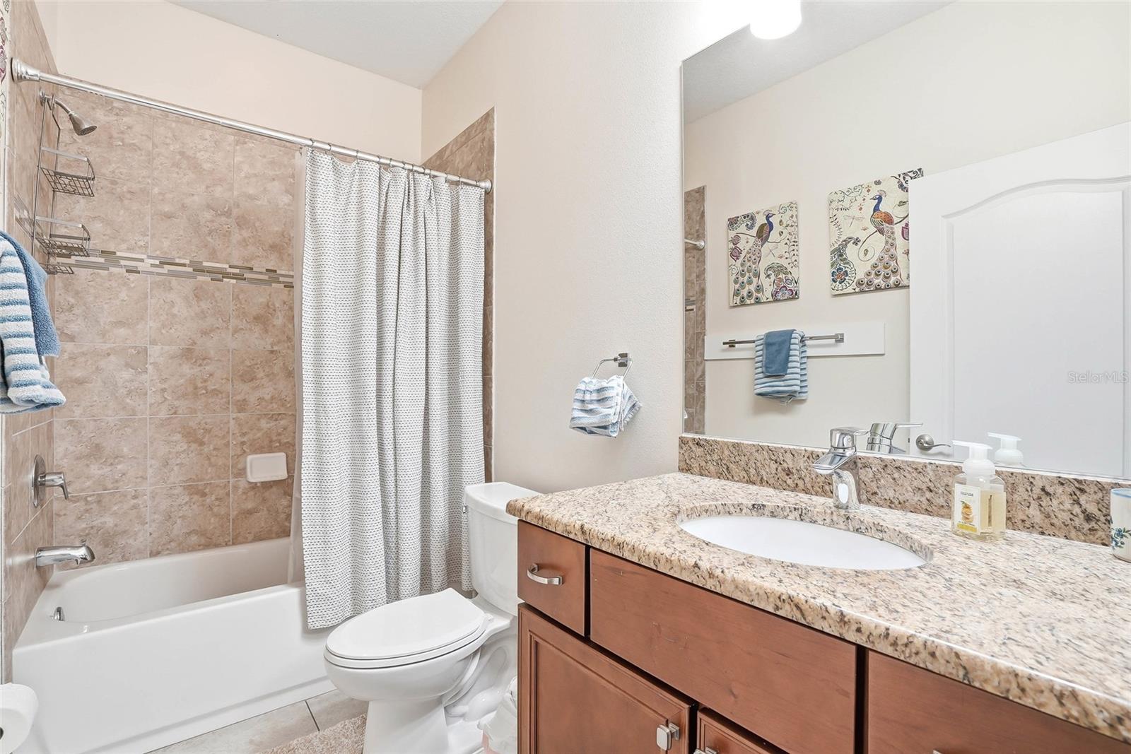2906 W DOUGLAS ST, TAMPA, FL, 33607