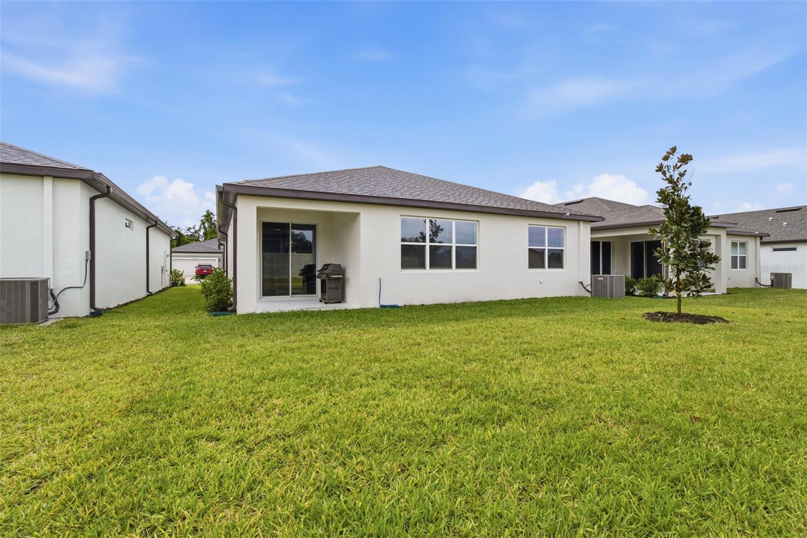 9738 REDWOOD HEIGHTS LOOP, THONOTOSASSA, FL, 33592