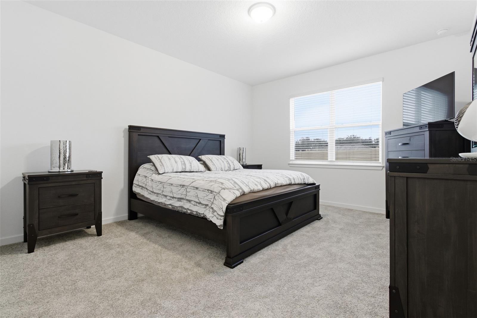 9738 REDWOOD HEIGHTS LOOP, THONOTOSASSA, FL, 33592