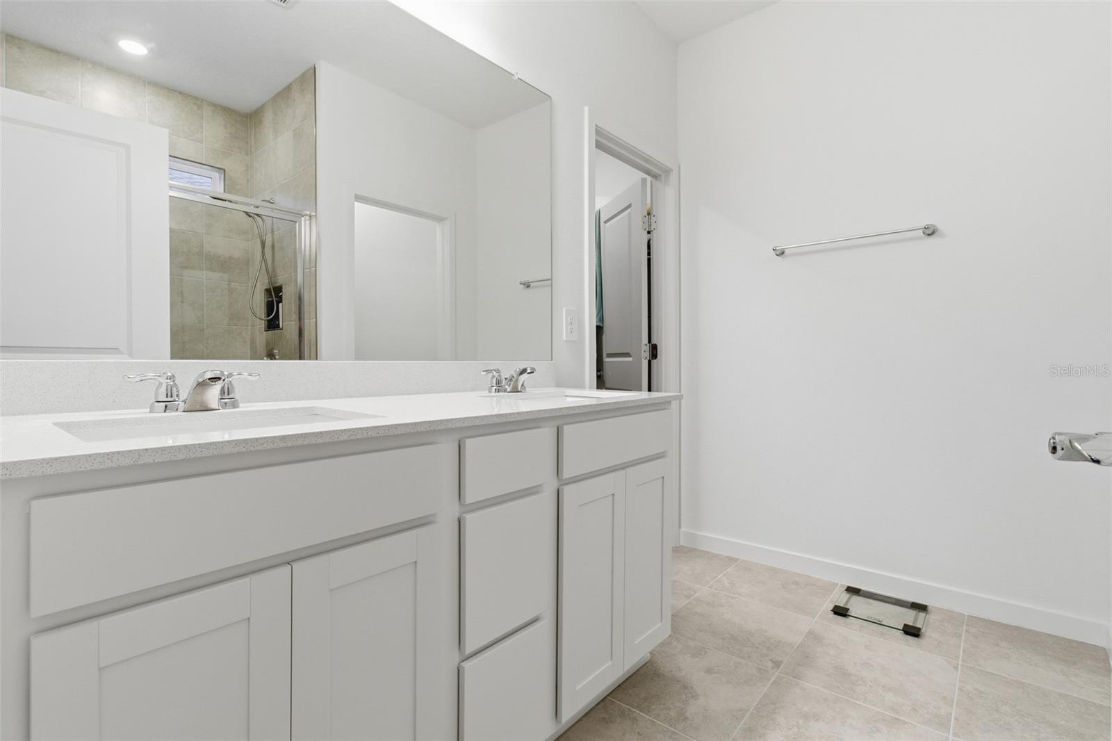 9738 REDWOOD HEIGHTS LOOP, THONOTOSASSA, FL, 33592