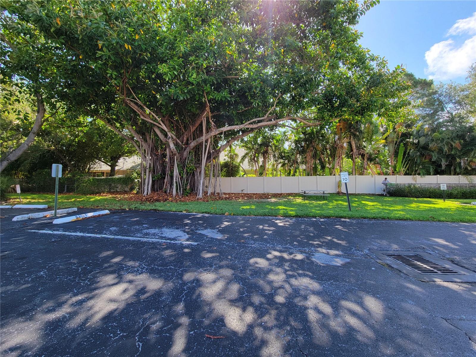 4880 LOCUST ST. NE #136, ST PETERSBURG, FL, 33703