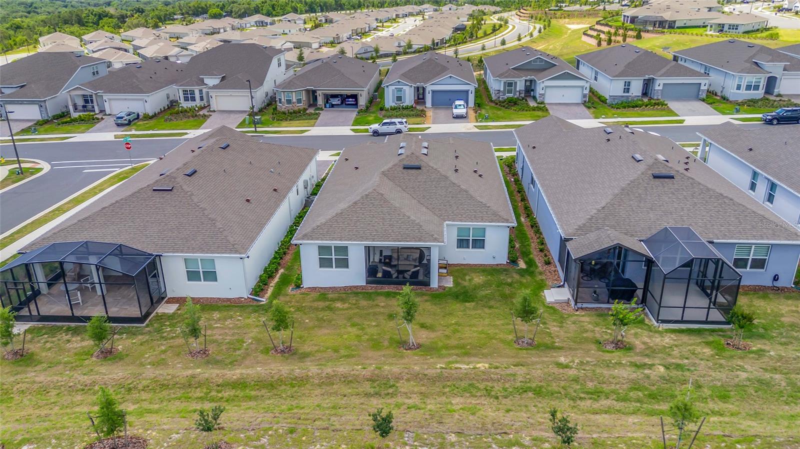 1384 ZESTY CITRUS LN, MINNEOLA, FL, 34715