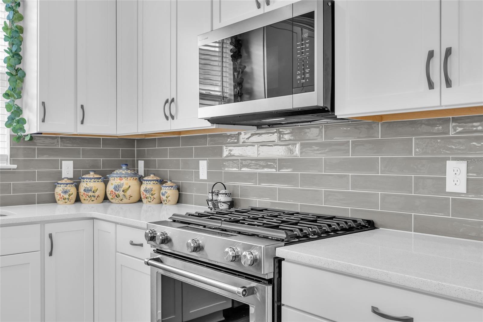 1384 ZESTY CITRUS LN, MINNEOLA, FL, 34715