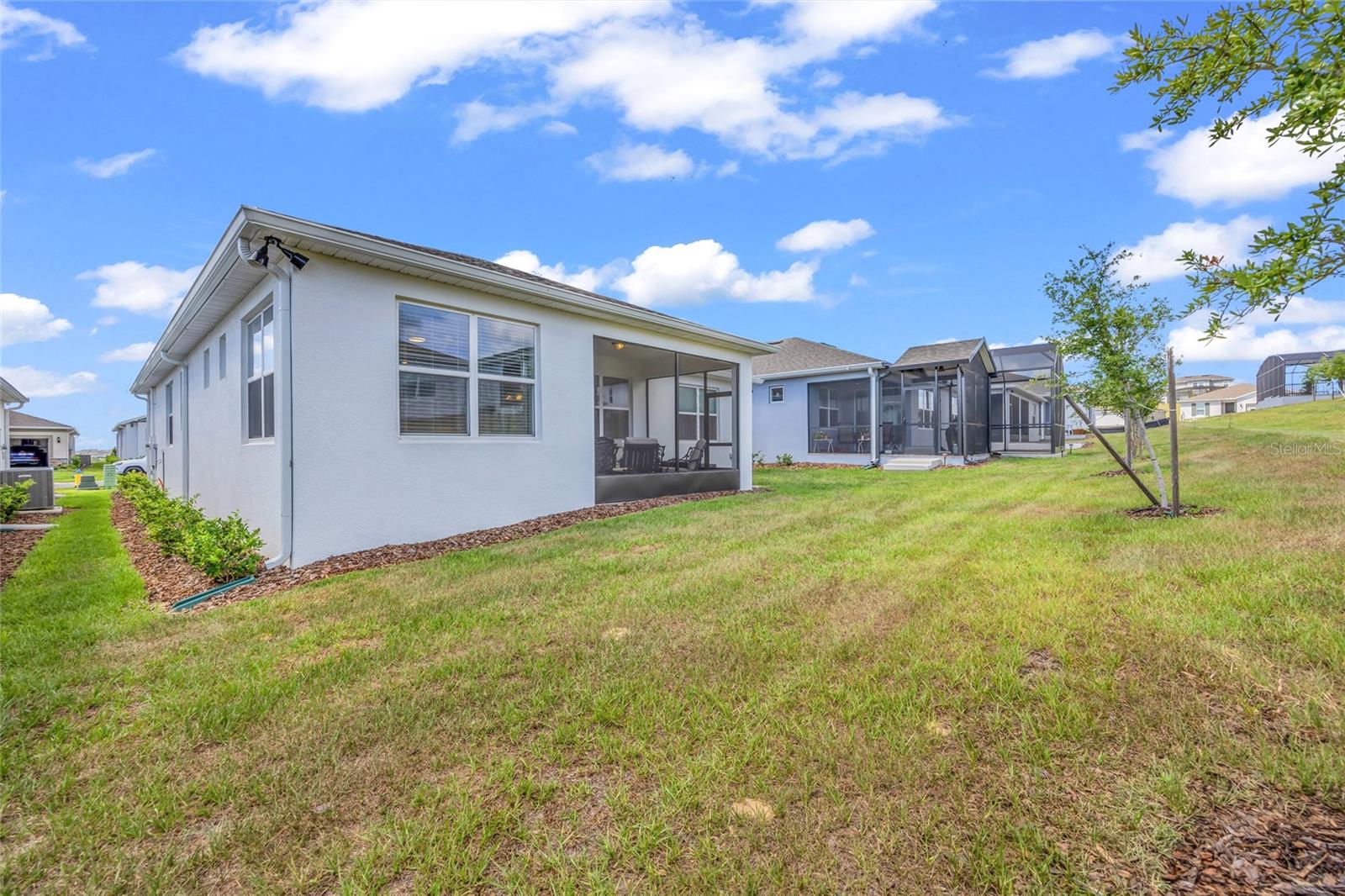1384 ZESTY CITRUS LN, MINNEOLA, FL, 34715