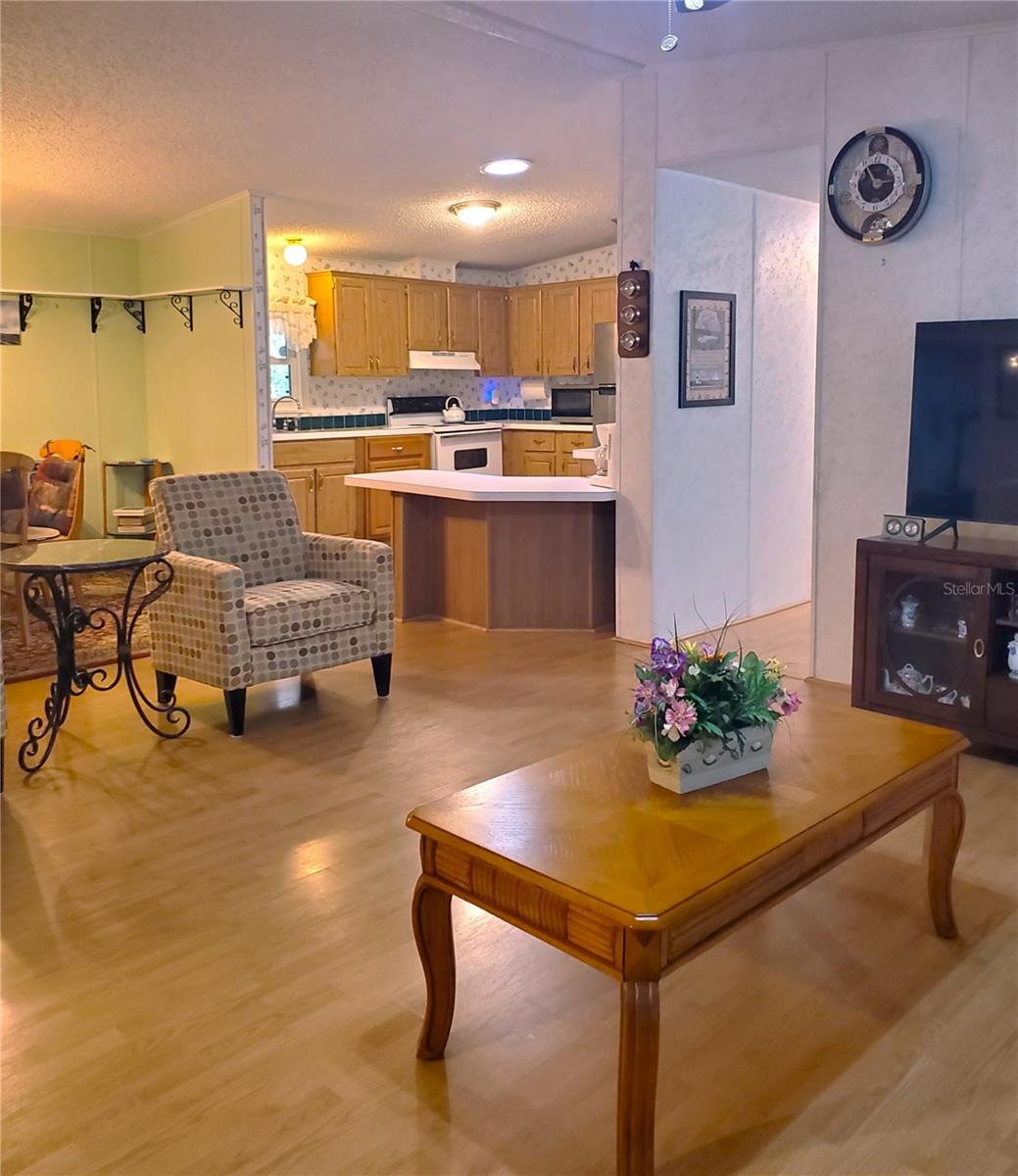 9990 SE 167TH PL, SUMMERFIELD, FL, 34491