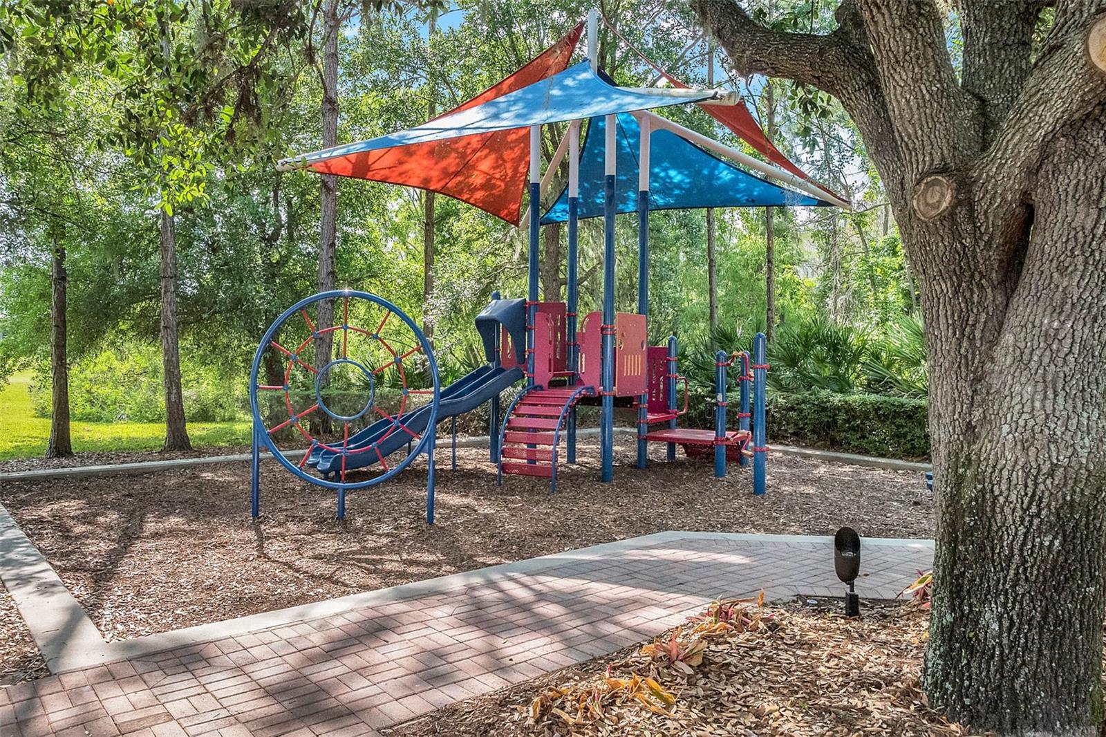 14542 BLACK CHERRY TRL, WINTER GARDEN, FL, 34787