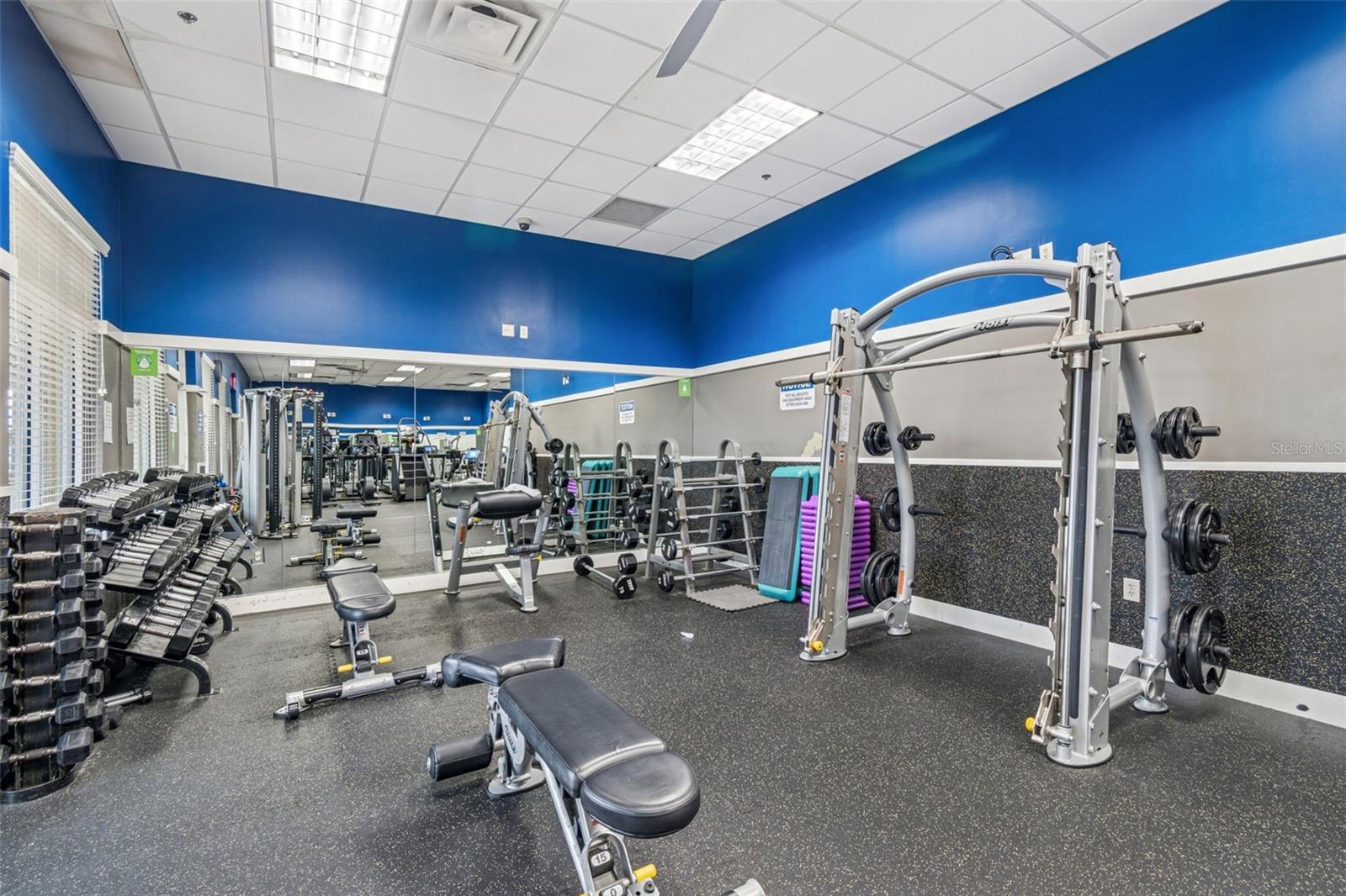 9898 RED BAY LOOP, LAND O LAKES, FL, 34637