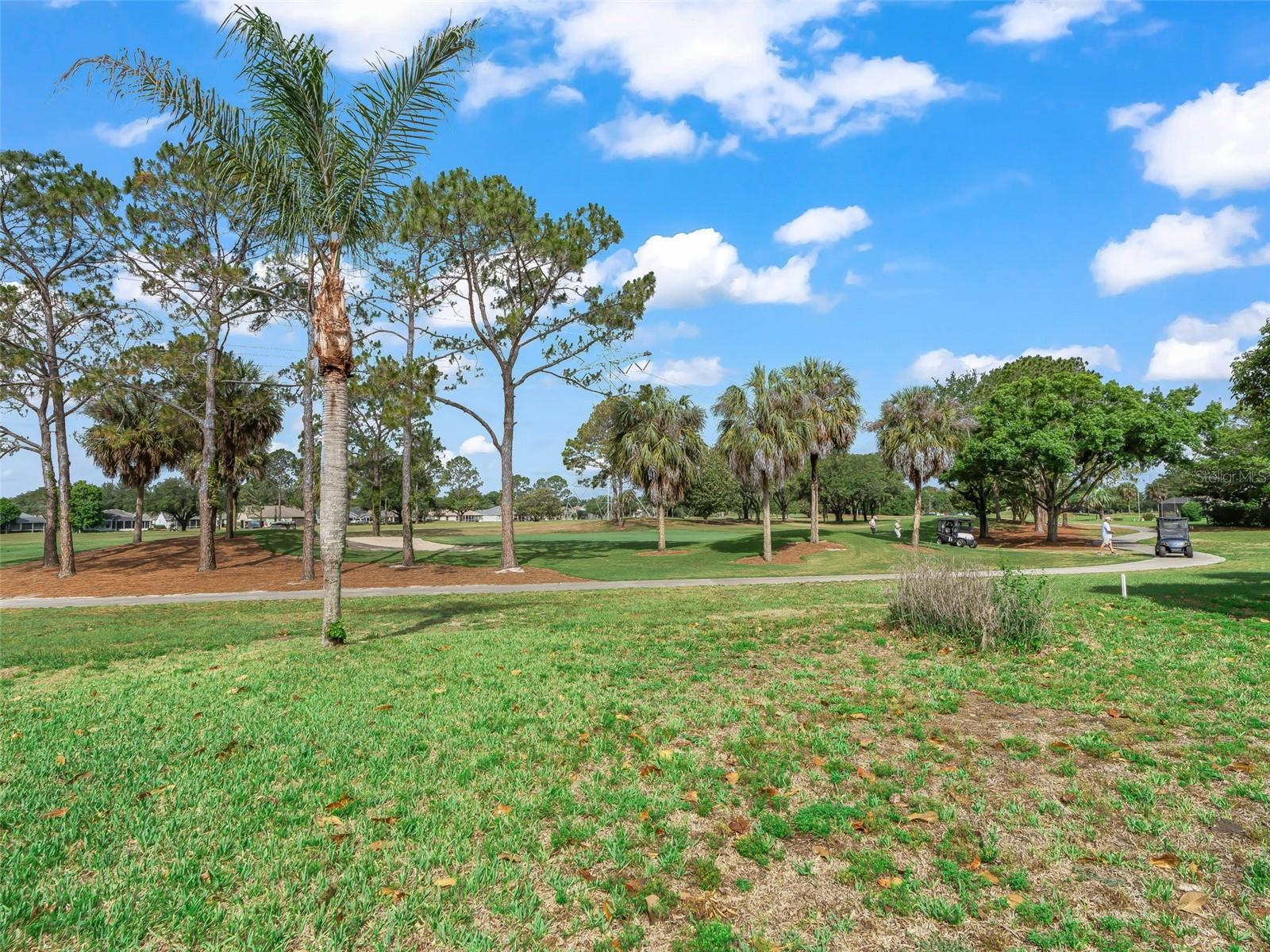 722 CAMINO DEL REY DR, THE VILLAGES, FL, 32159