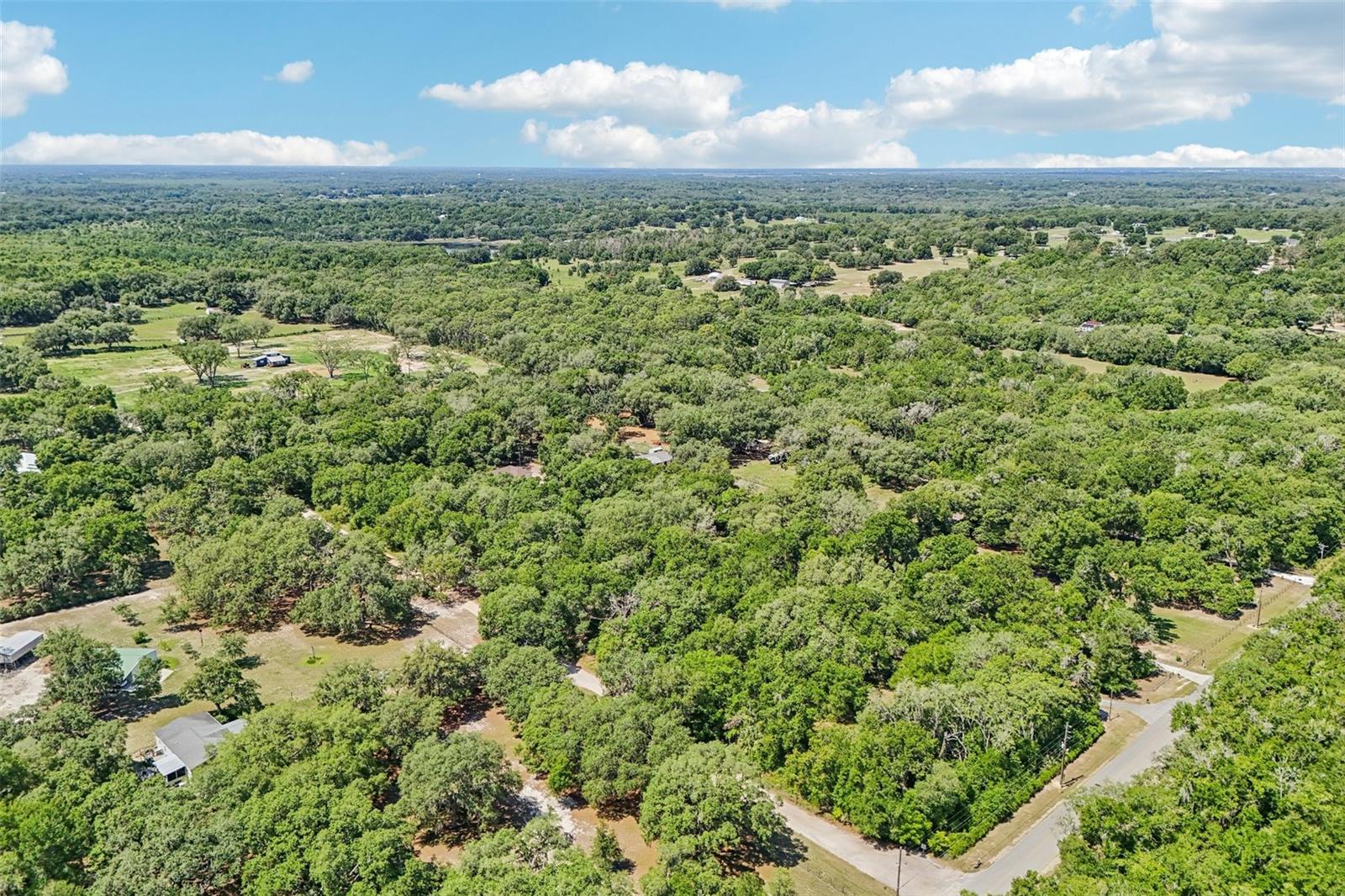 4546 GRIFFIN VIEW DR, LADY LAKE, FL, 32159