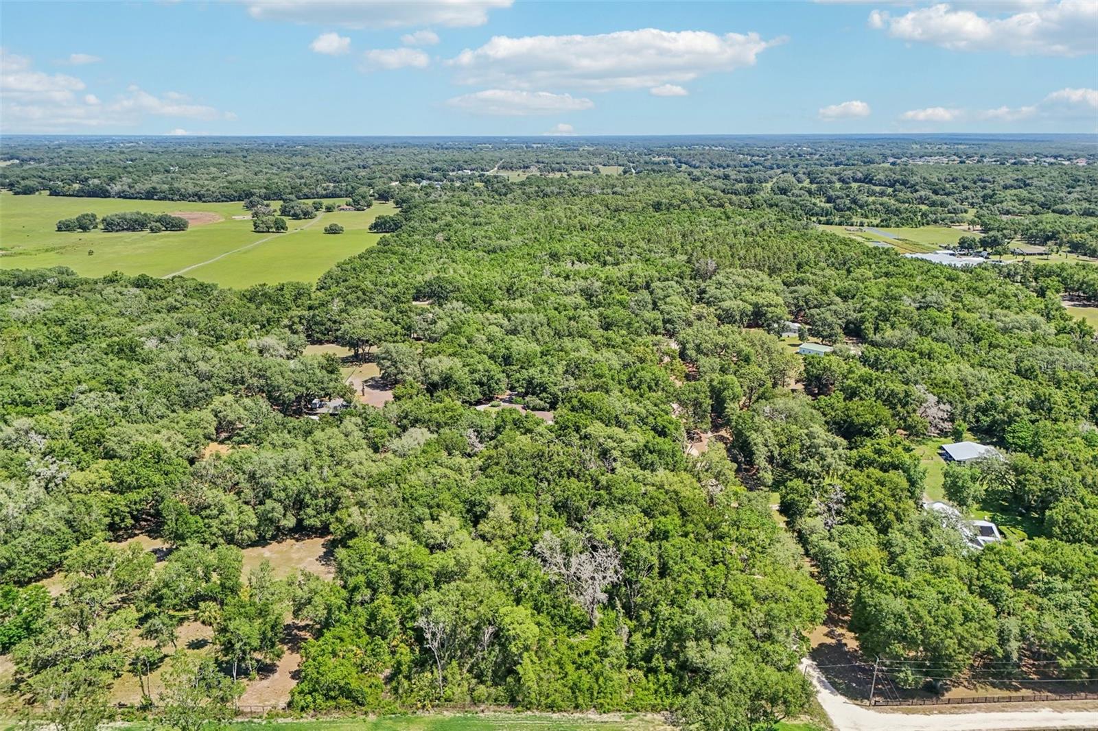 4546 GRIFFIN VIEW DR, LADY LAKE, FL, 32159