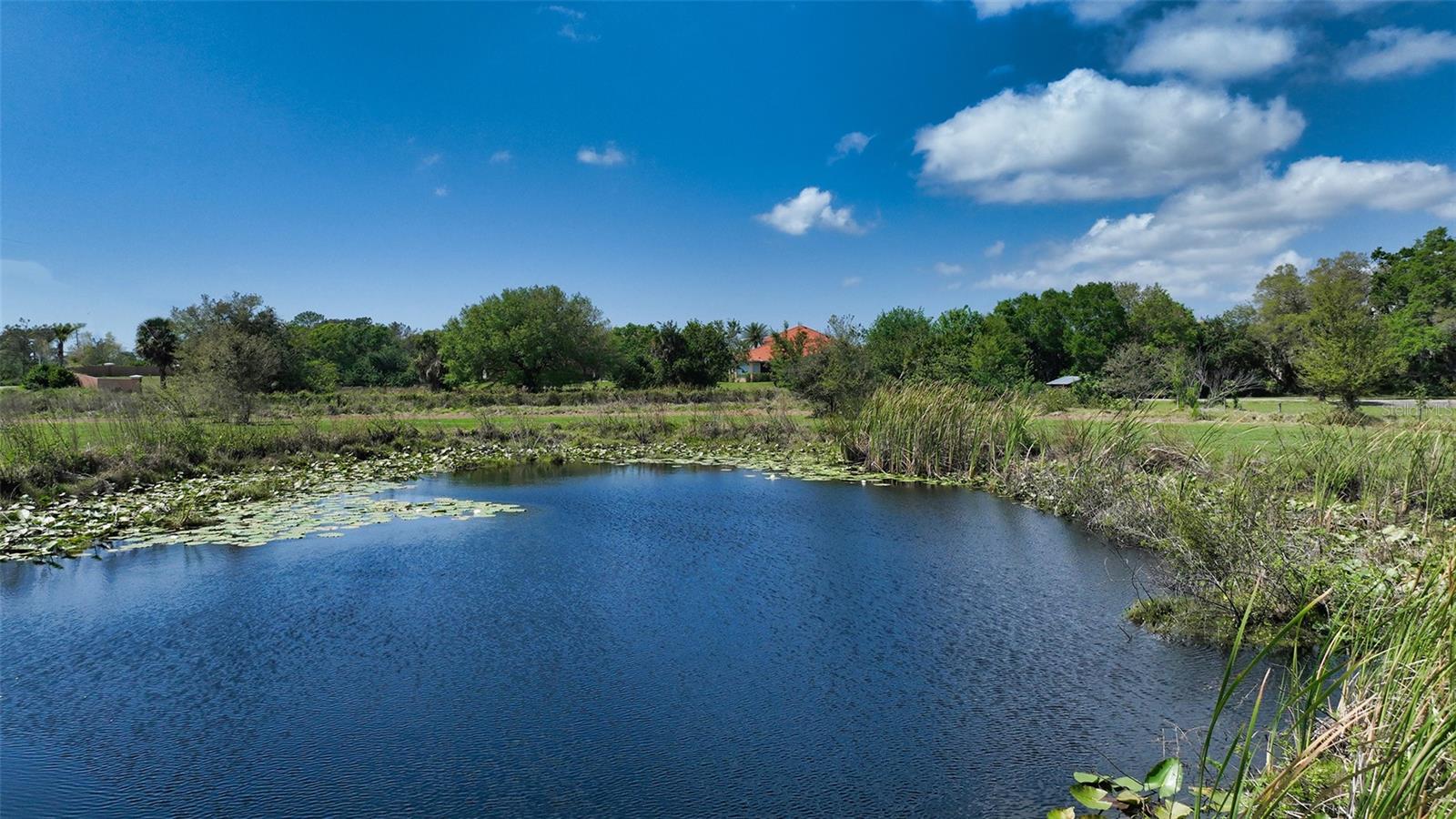 7025 CLARK RD, SARASOTA, FL, 34241