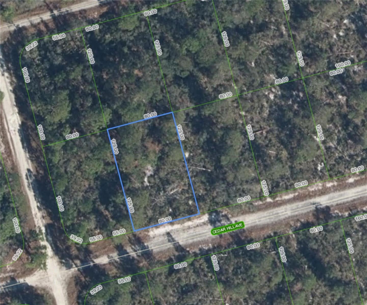 3049 CEDAR HILL AVE, LAKE PLACID, FL, 33852