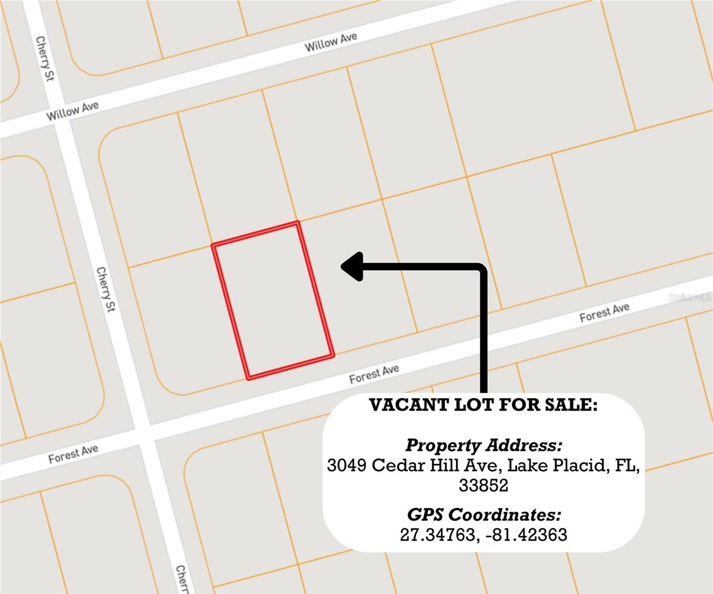 3049 CEDAR HILL AVE, LAKE PLACID, FL, 33852