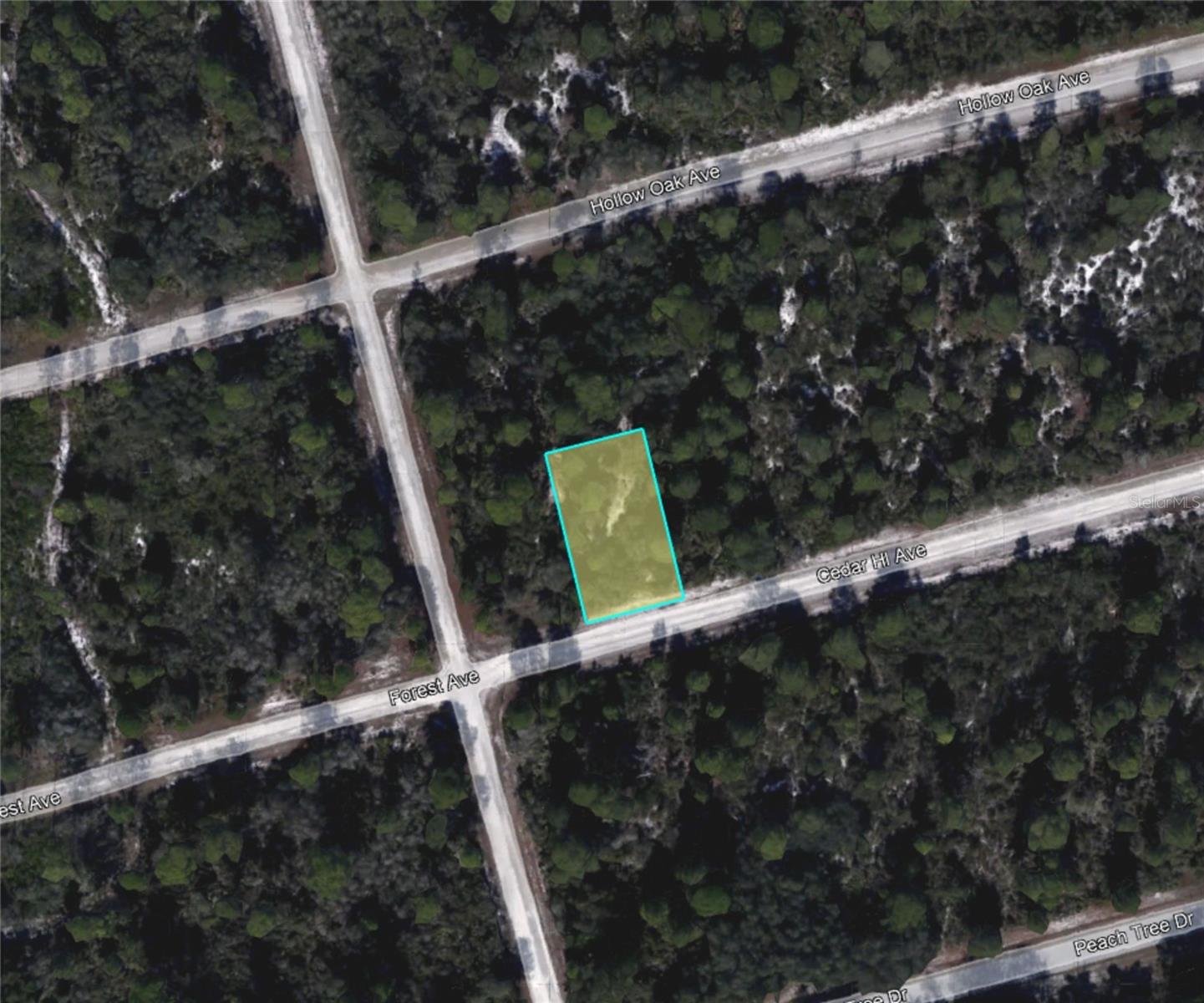 3049 CEDAR HILL AVE, LAKE PLACID, FL, 33852
