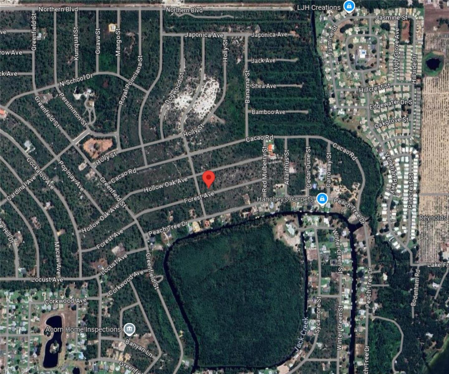 3049 CEDAR HILL AVE, LAKE PLACID, FL, 33852