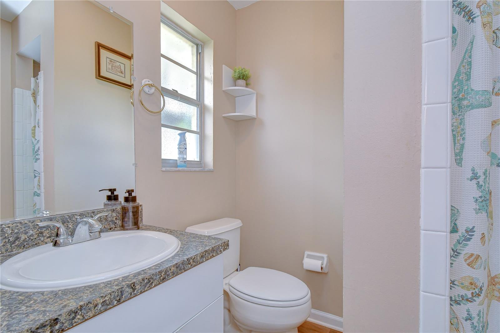 7905 N FREMONT AVE, TAMPA, FL, 33604