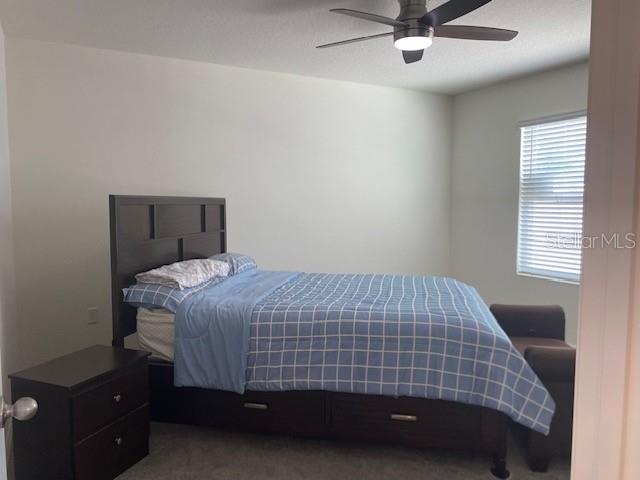 11370 AMBER RIDGE DR, ZELLWOOD, FL, 32798