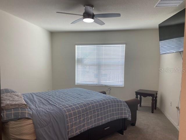 11370 AMBER RIDGE DR, ZELLWOOD, FL, 32798