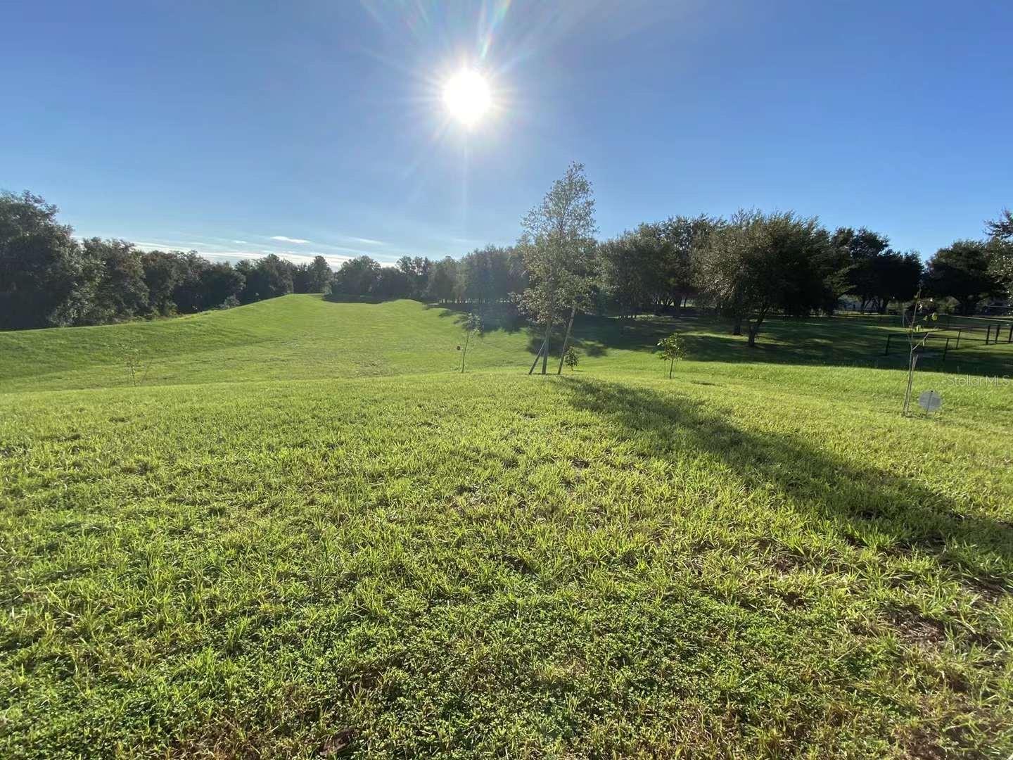 583 BLACK EAGLE DR, GROVELAND, FL, 34736