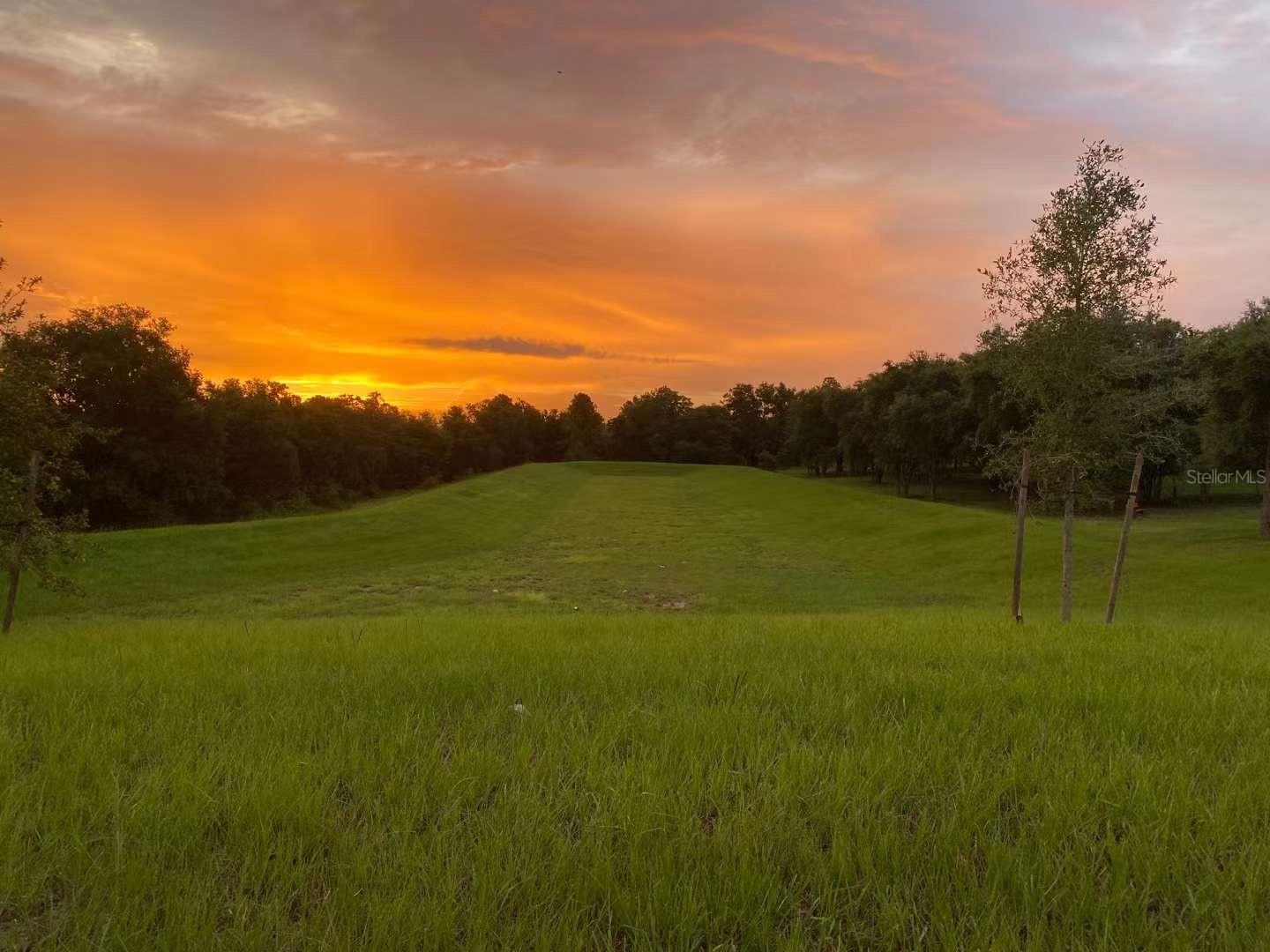 583 BLACK EAGLE DR, GROVELAND, FL, 34736
