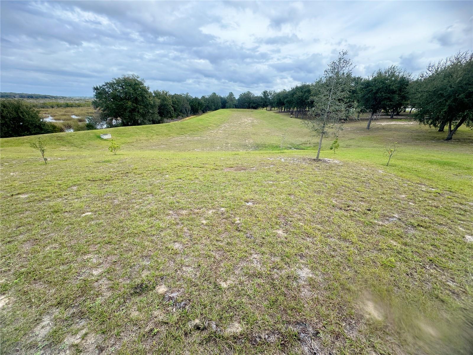 583 BLACK EAGLE DR, GROVELAND, FL, 34736