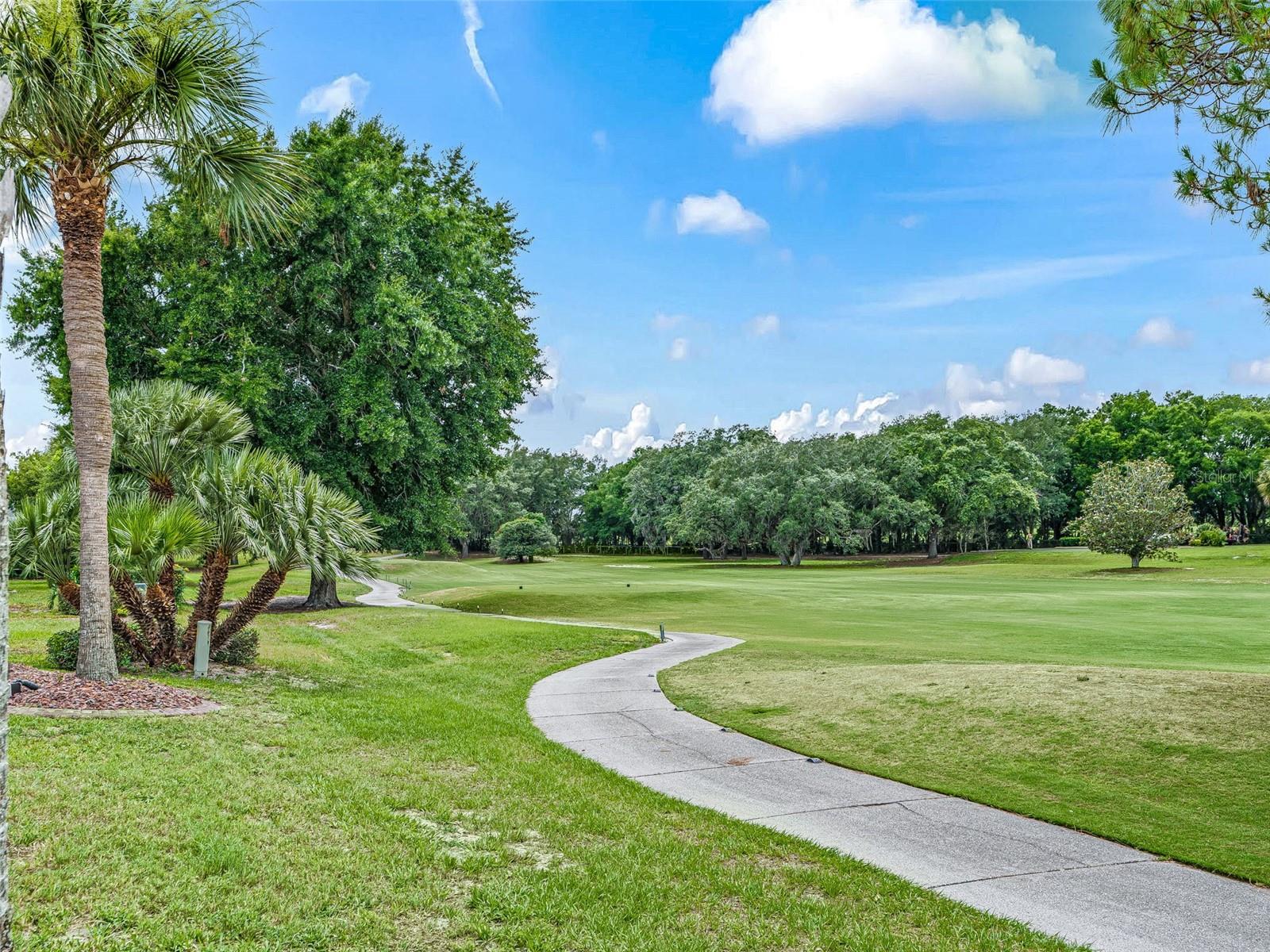 2121 GERARDO AVE, THE VILLAGES, FL, 32159