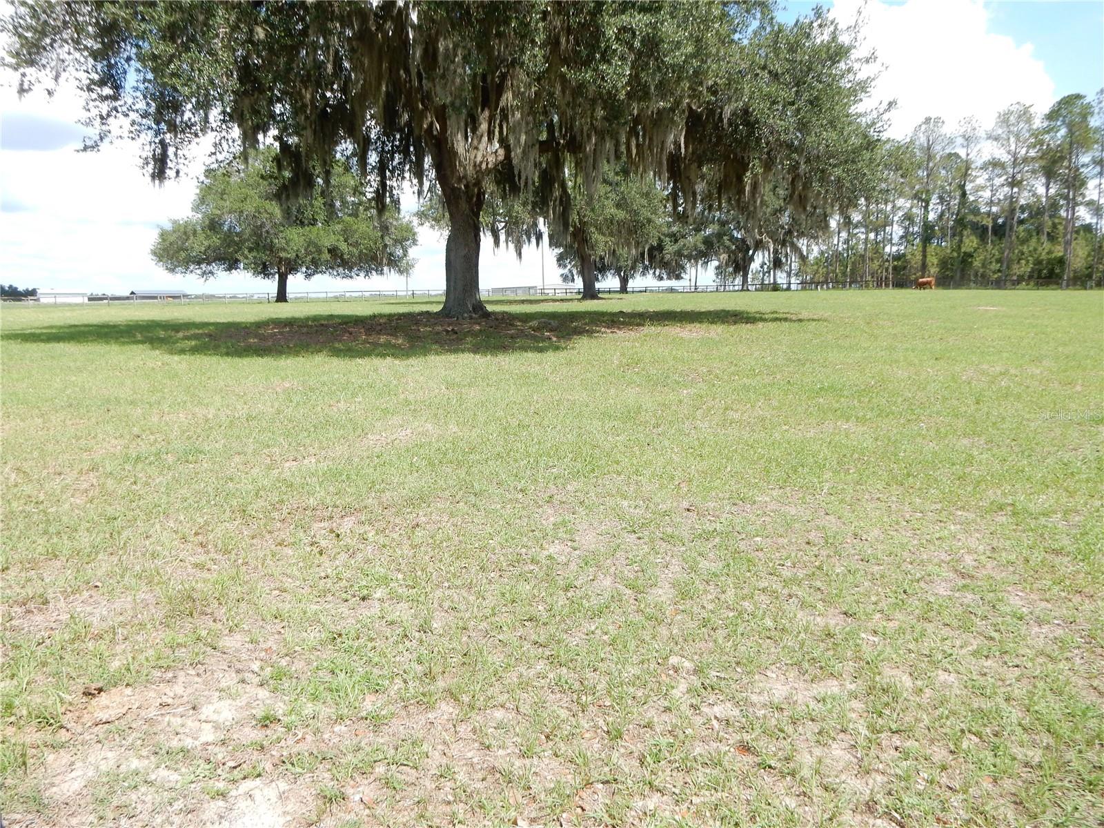 30841 DEER RUN, DADE CITY, FL, 33523