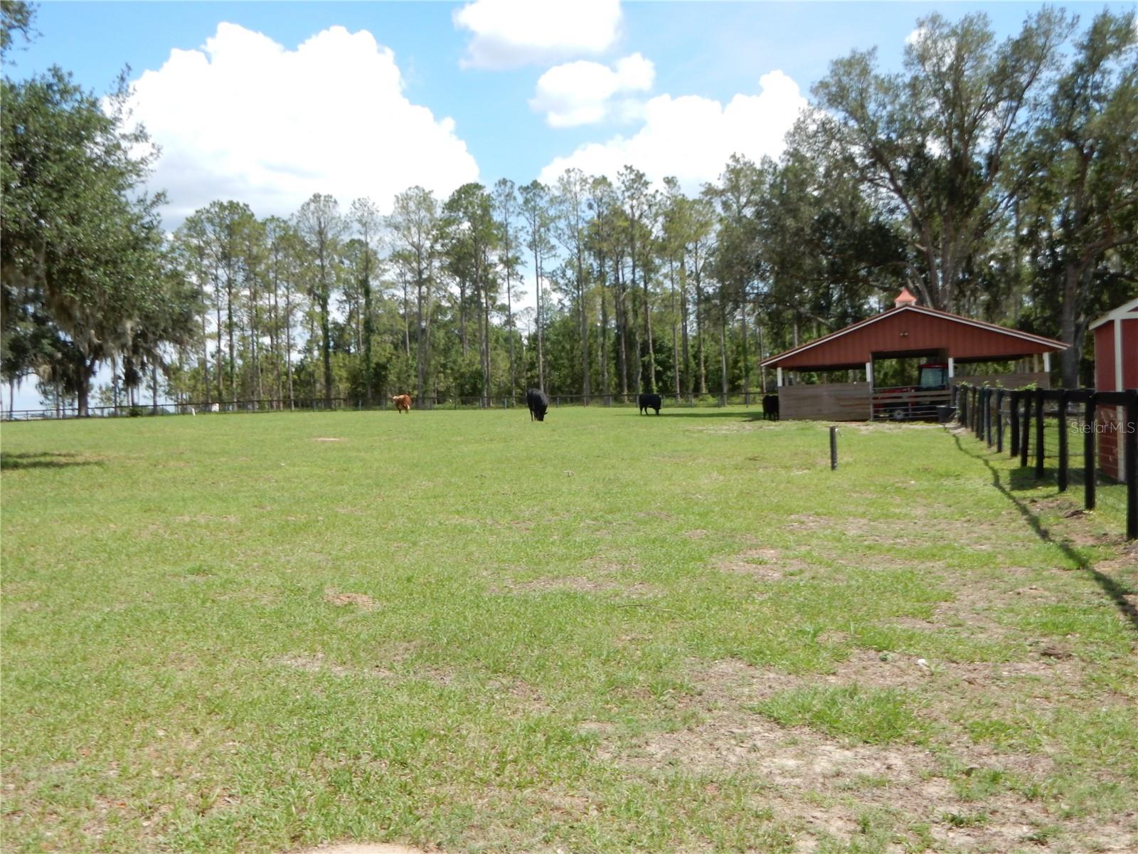 30841 DEER RUN, DADE CITY, FL, 33523